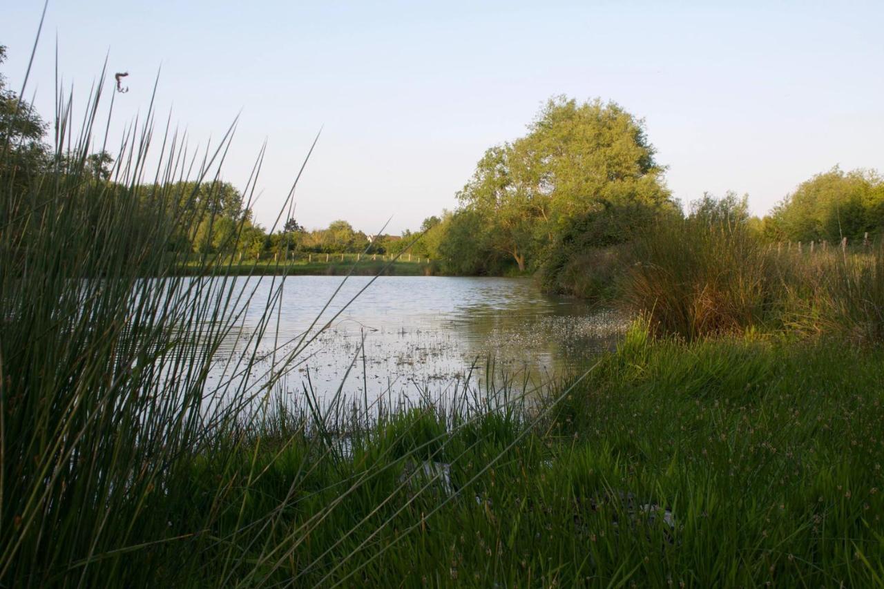 Camping-Caravaning De La Molliere Groffliers المظهر الخارجي الصورة